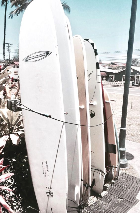 Know Which Surfboard to Bring to Your Surf Holidays!