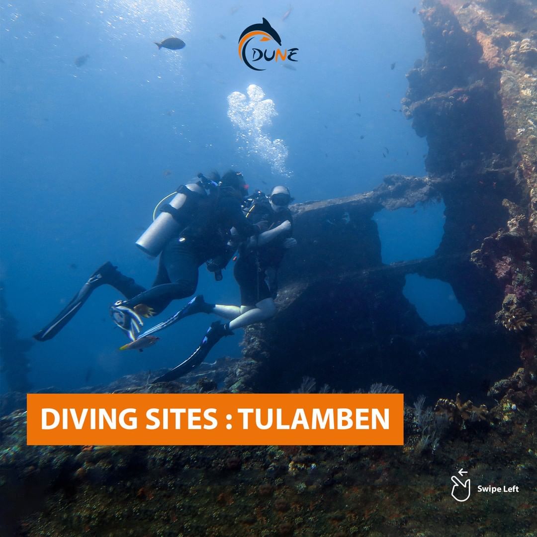 Rocking A Tulamben Diving Trip: What to Expect and See!